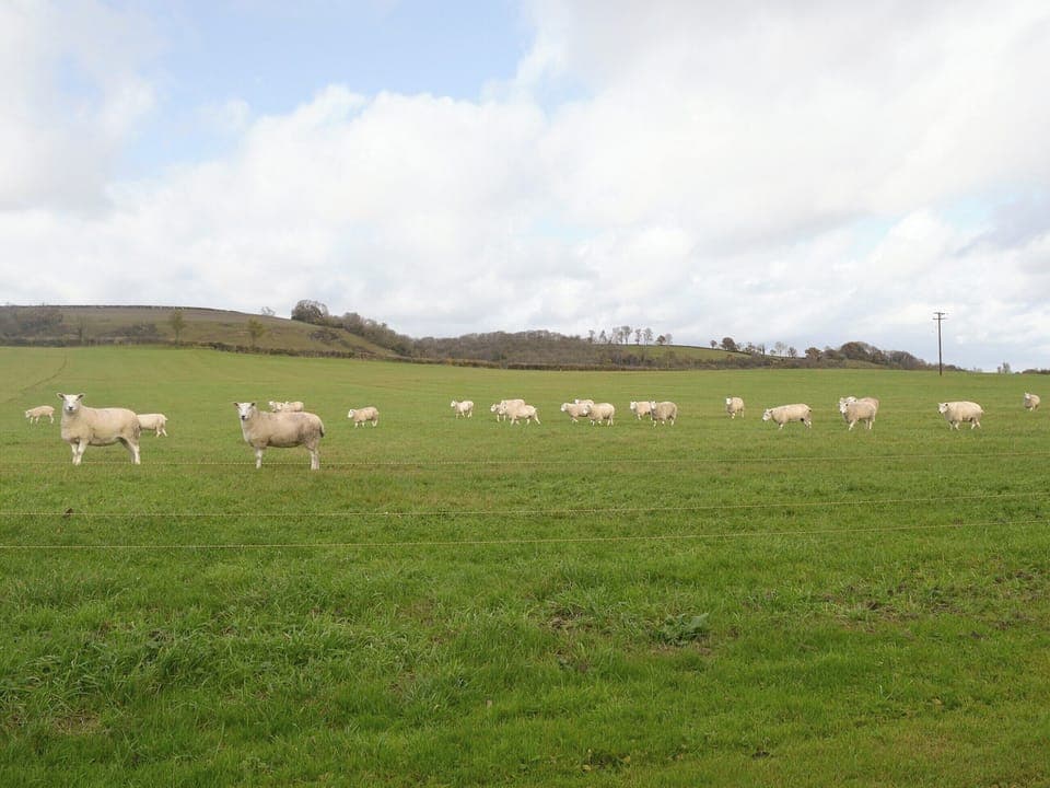 Great views of surrounding farmland | The Creamery, North Wootton, near Wells