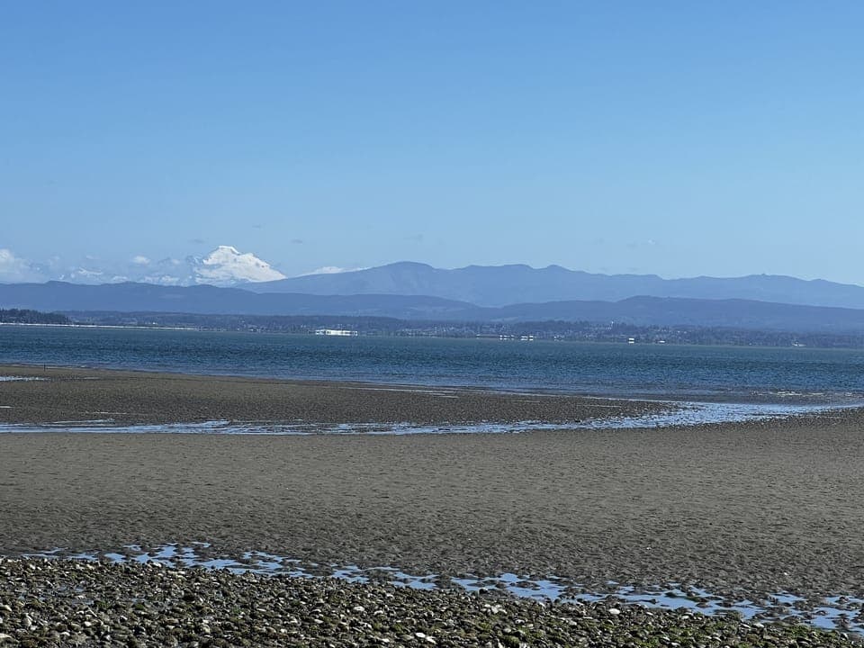 Mount Baker views from your backyard. Sandy beach at low tide.