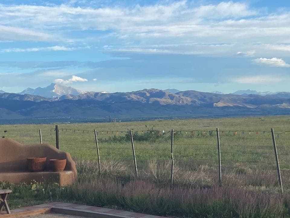 Back Yard.