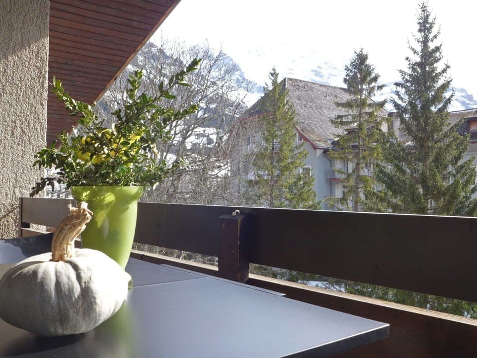 Sky, Daytime, Property, Plant, Leaf, Architecture, Flowerpot, Building, Shade, Urban Design