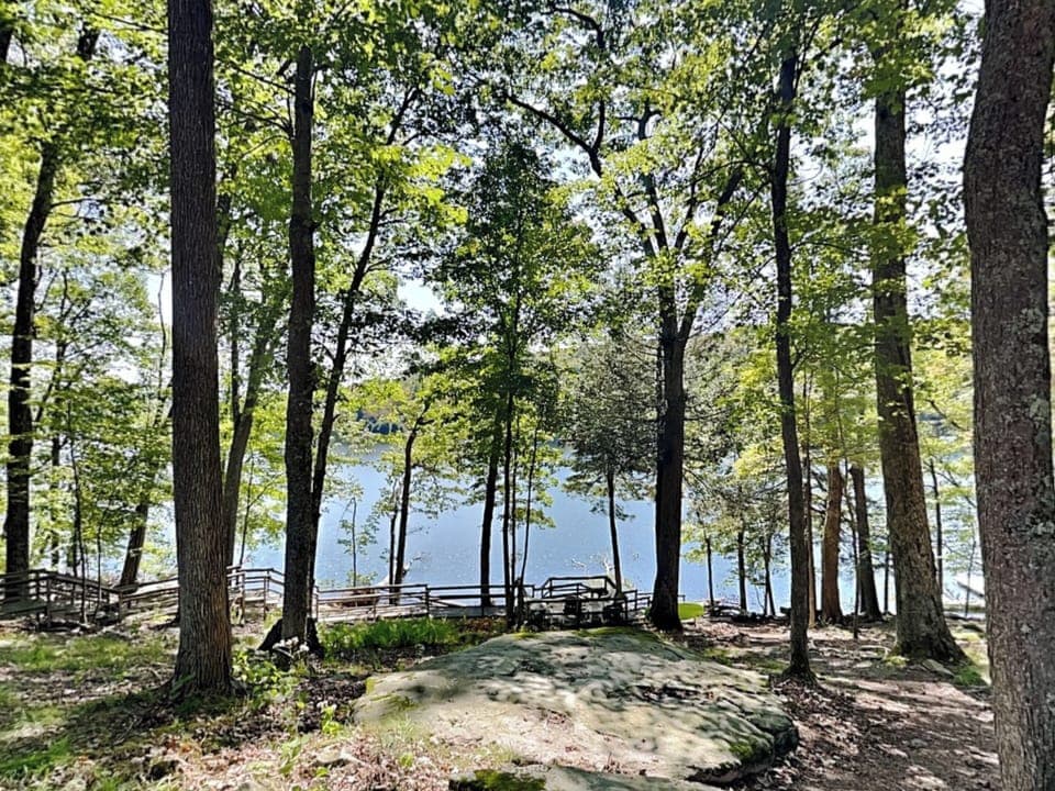 Lake View