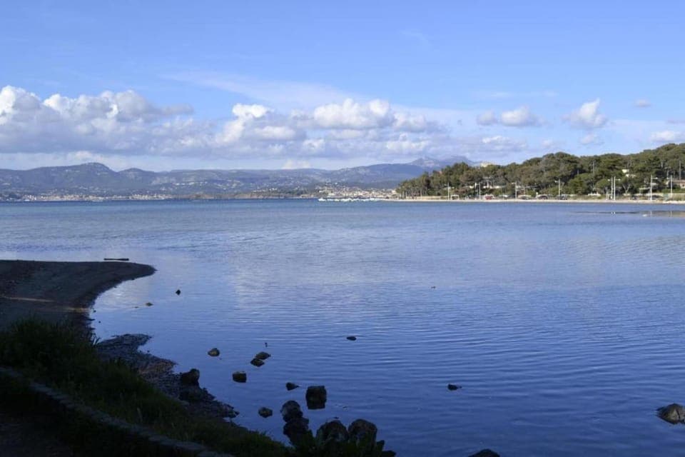 Region [summer] (>5 km)