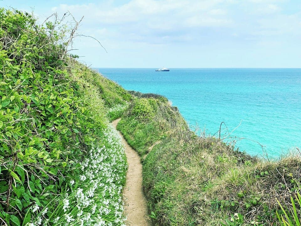 Surrounding area | Crossways, Lelant, near Hayle