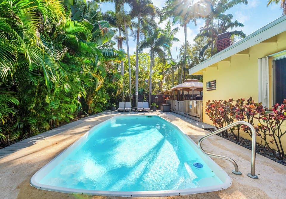 Tropical palm trees make the back yard in to a tropical paradise.
