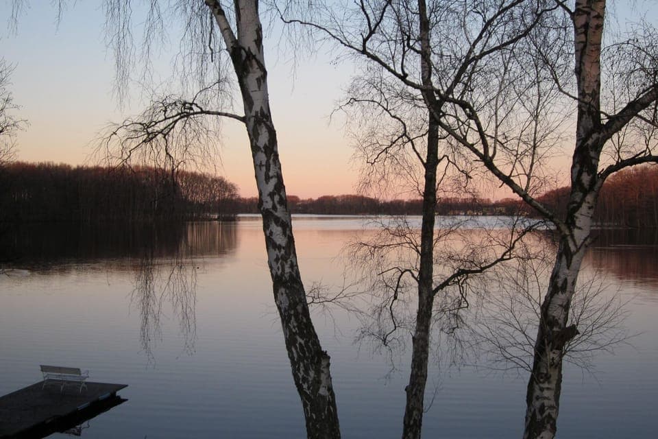 Region [summer] (>5 km)