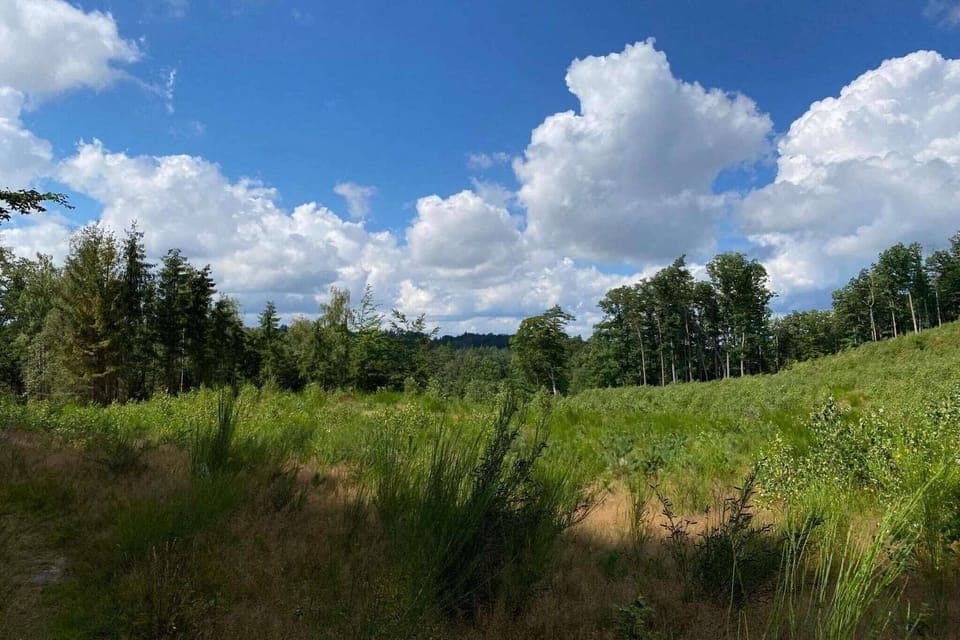 Immediate Surroundings [summer] (<1 km)