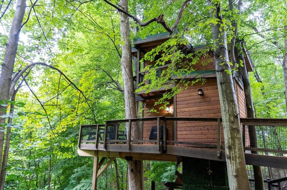 The Rustic Treehouse is your secluded getaway in the woods!! (1)