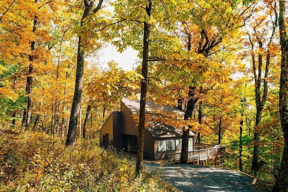 Fall Colors