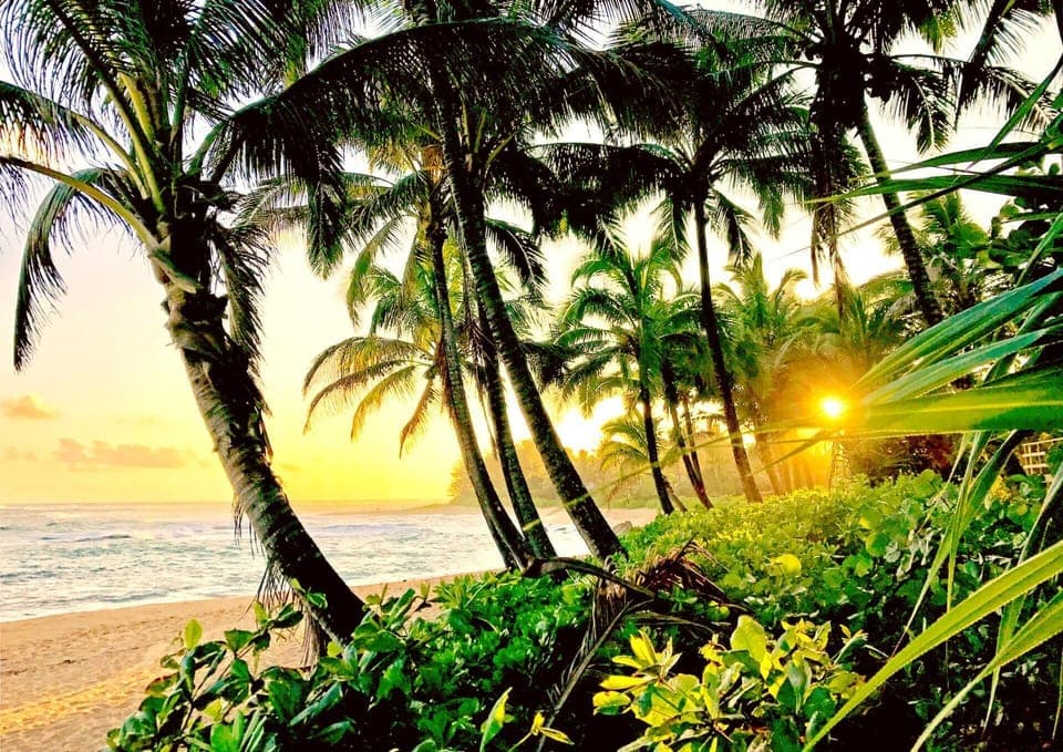 Gorgeous nearby beach with swaying palms and white sands - perfect bliss! IML-E4