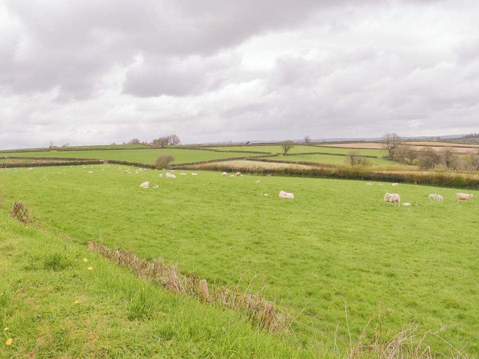 Surrounding area | The Old Broadley Chapel, Lewdown, near Launceston