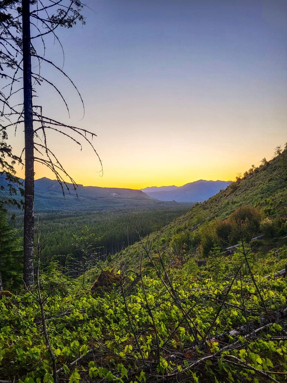 Follow backyard trail to nearby beautiful views