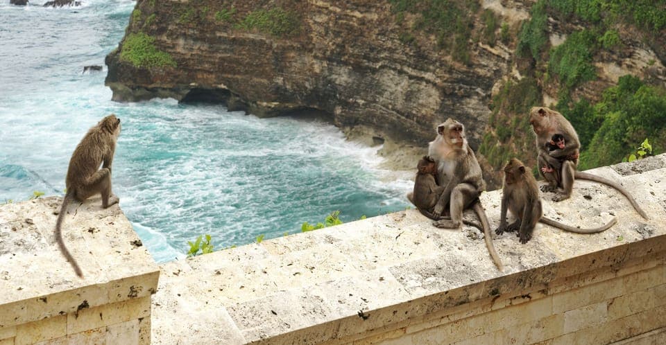 Pura Luhur Uluwatu,Attractions