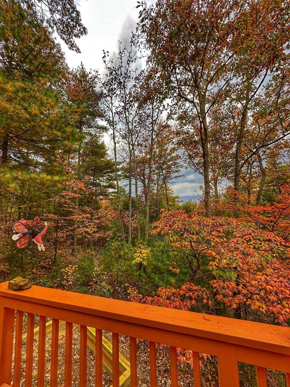 Great views during fall