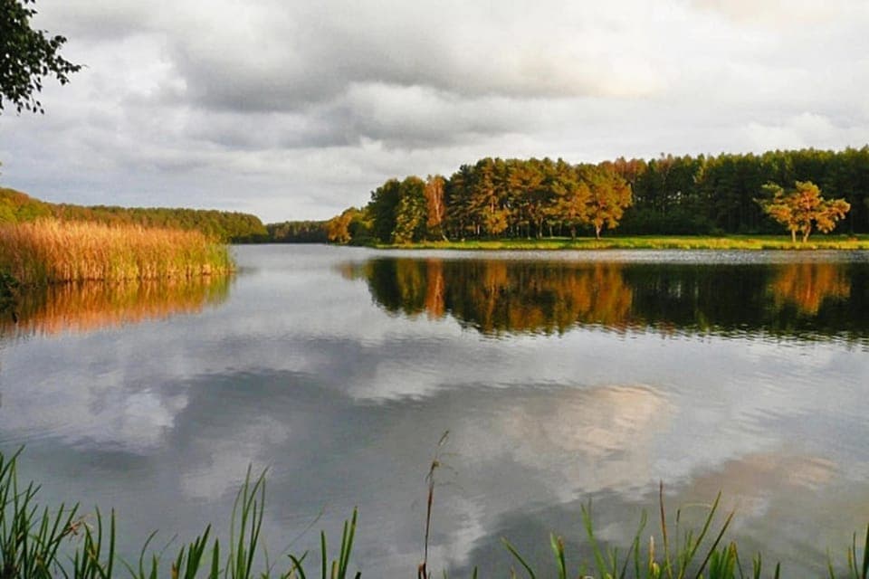 Surroundings [summer] (1-5 km)