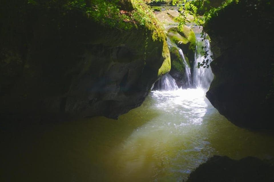 Region [summer] (>5 km)