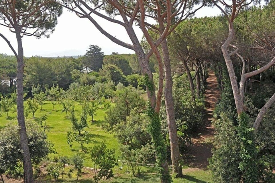 Balcony / Terrace / Patio, Building Exterior, Garden, Outdoor, Pool, Spring, Summer