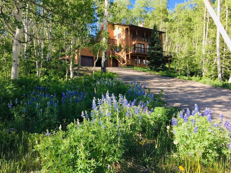 Mountain Modern Exterior