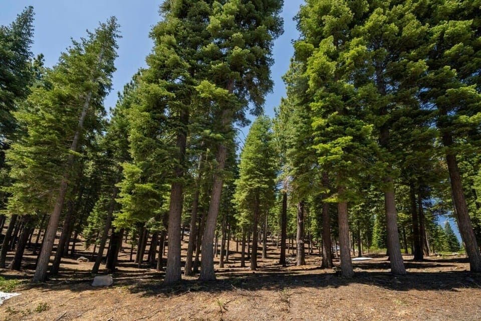 The view over the tranquil setting of beautiful nature that surrounds the home.