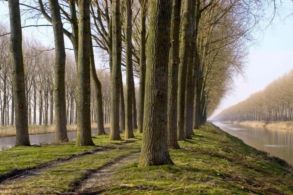 Surroundings [summer] (1-5 km)