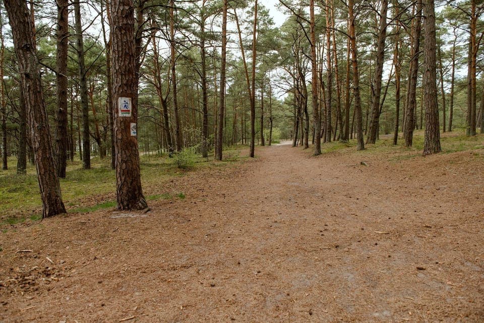 Immediate Surroundings [summer] (<1 km)