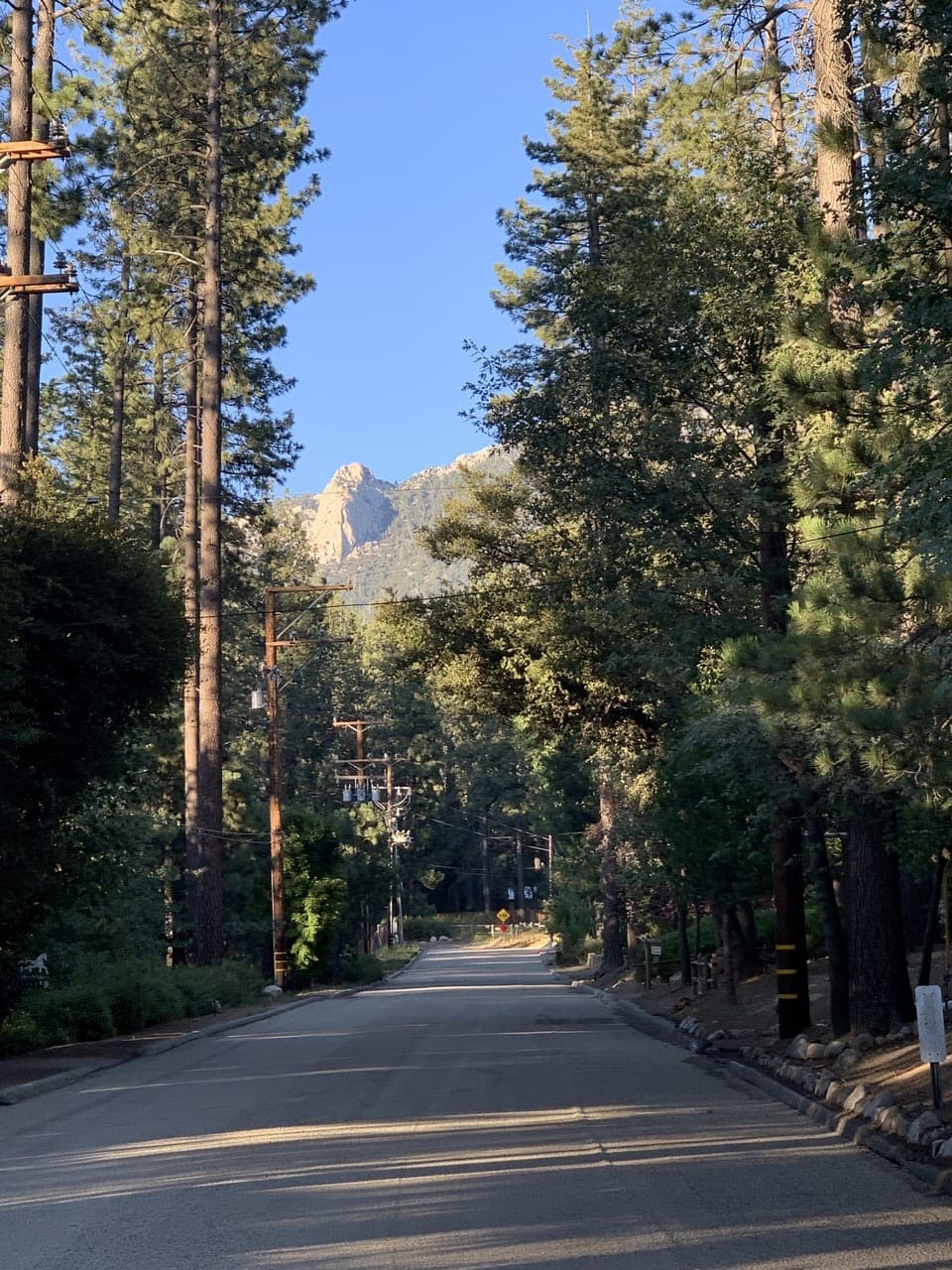 Lily Rock from our street