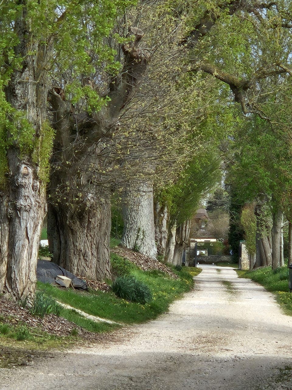 The entrance from the highway