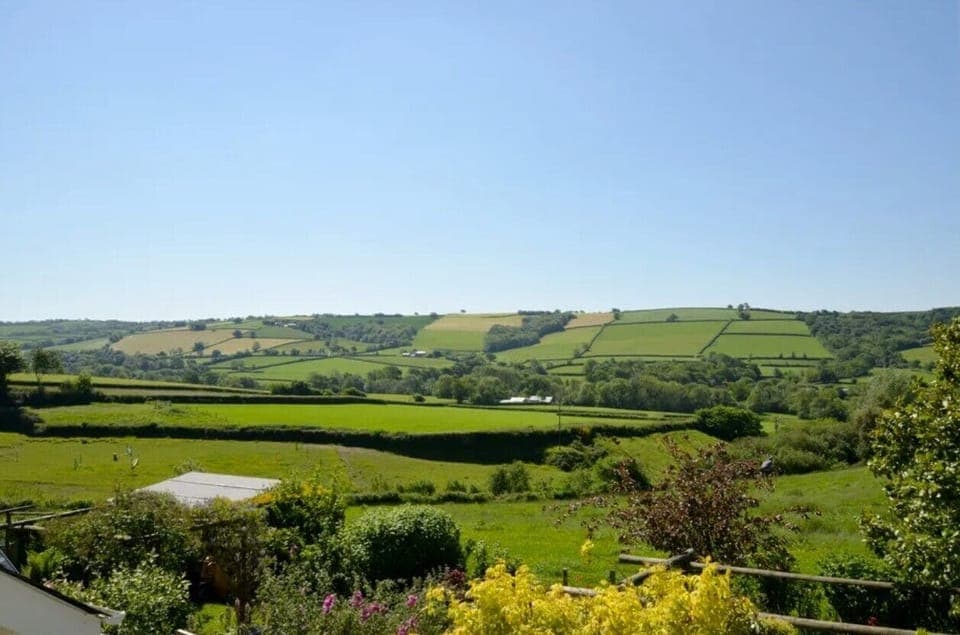 Lower Court Cottage Countryside View