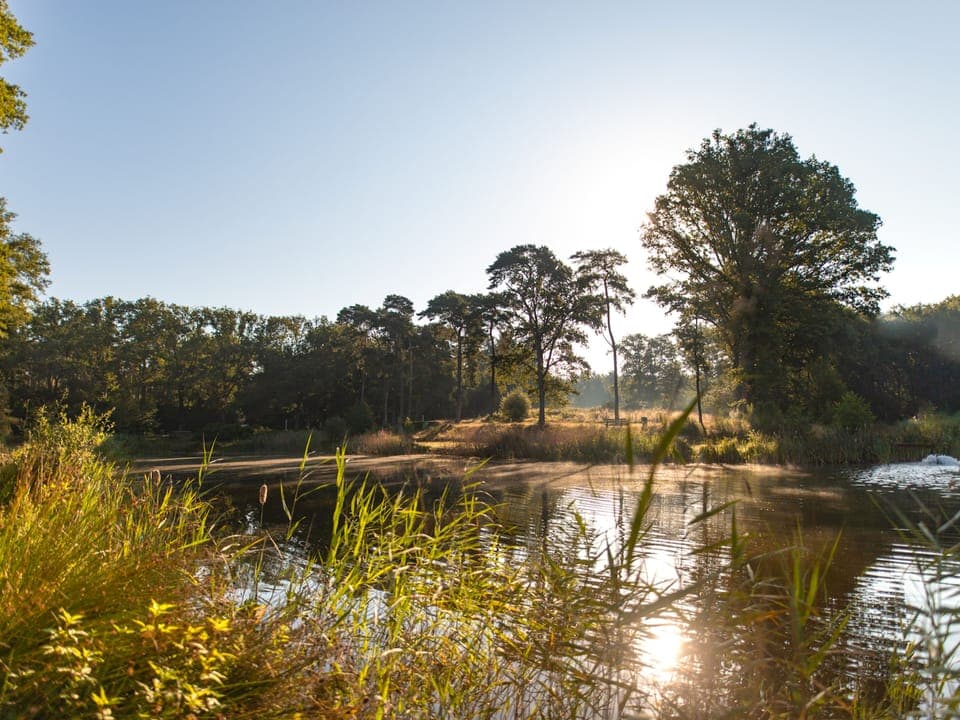 Immediate Surroundings [summer] (<1 km)