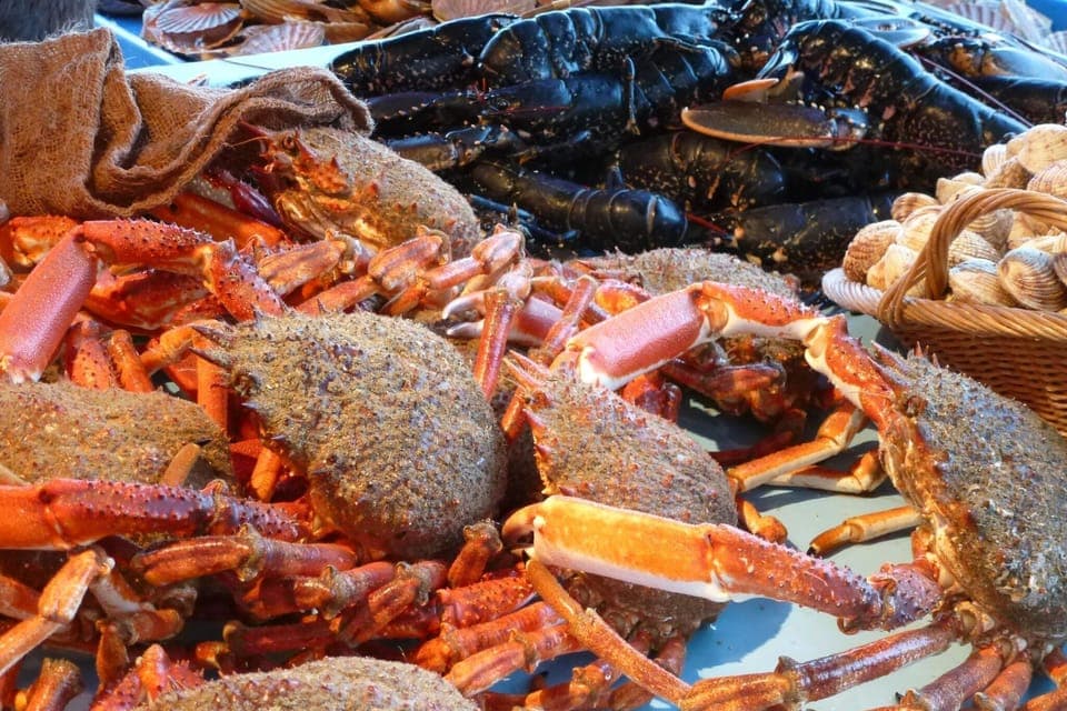 Region [summer] (>5 km)