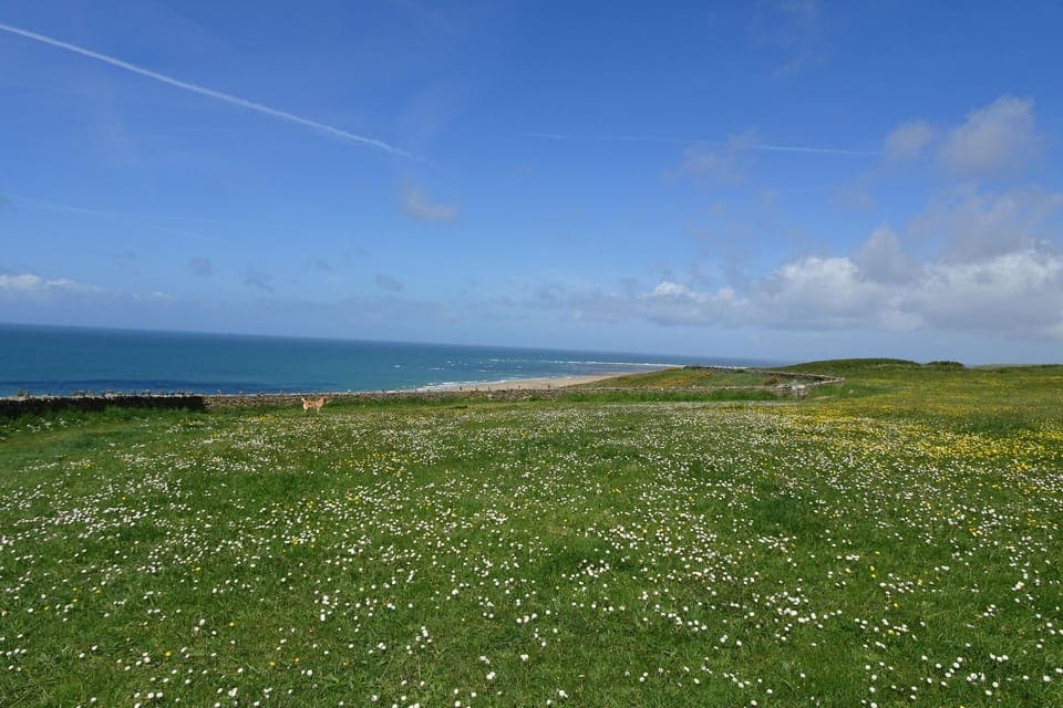 Immediate Surroundings [summer] (<1 km)