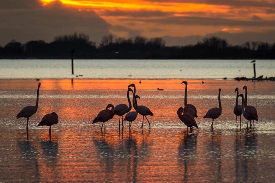 Region [summer] (>5 km)