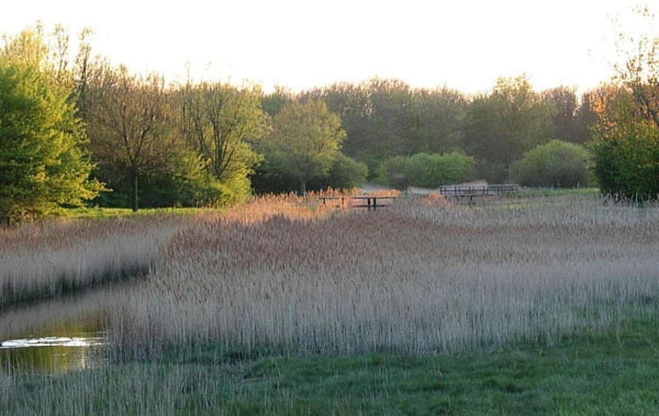 Region [summer] (>5 km)