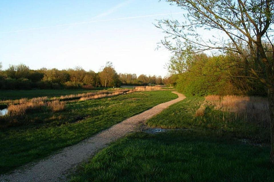 Region [summer] (>5 km)