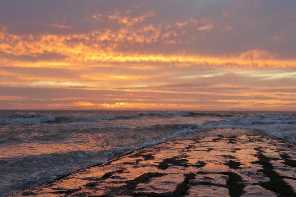 Region [summer] (>5 km)