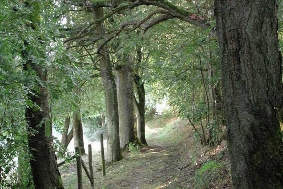 Immediate Surroundings [summer] (<1 km)