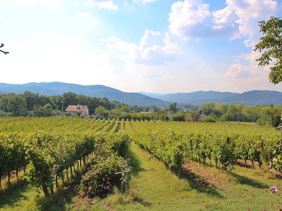 Immediate Surroundings [summer] (<1 km)