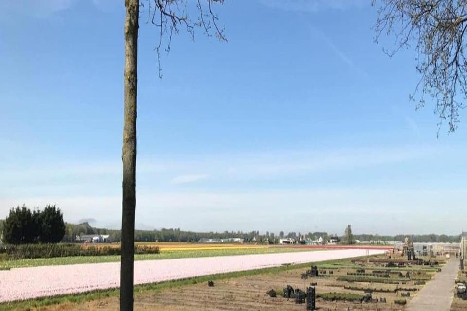 Region [summer] (>5 km)