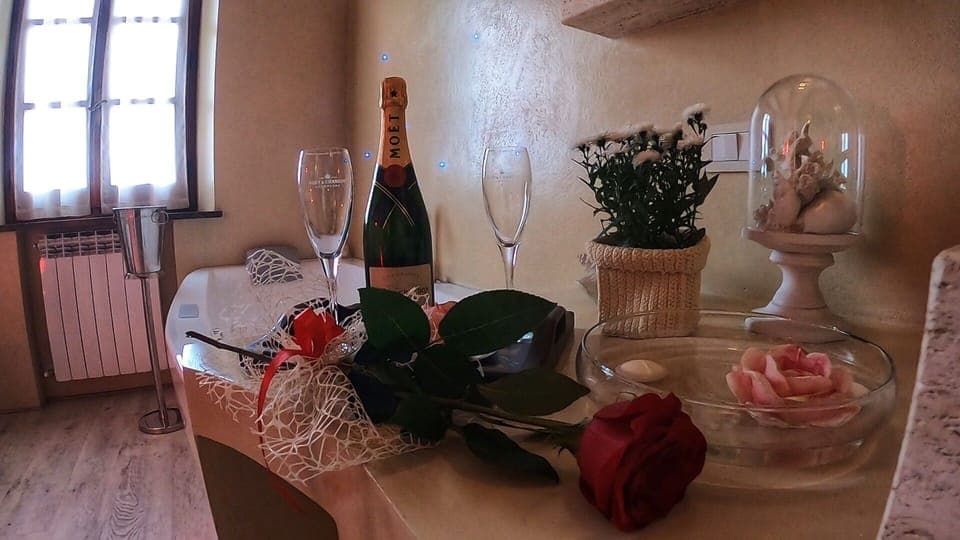 Plant, Furniture, Table, Window, Flowerpot, Tableware, Interior Design, Building, Houseplant, Stemware