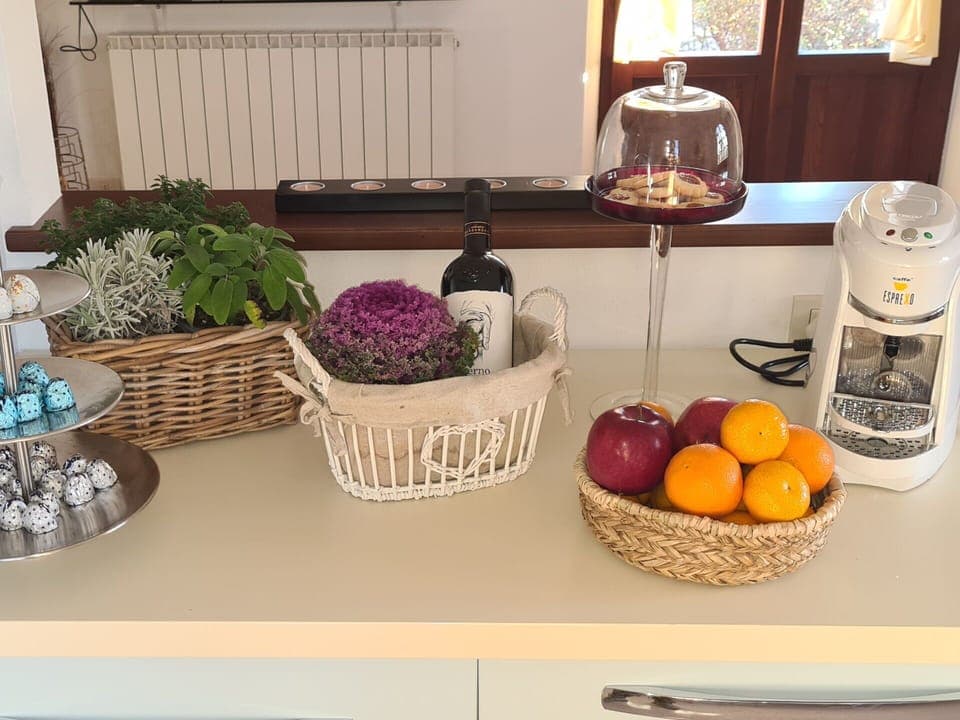 Food, Countertop, Tableware, Dishware, Kitchen, Window, Interior Design, Serveware, Table, Plant