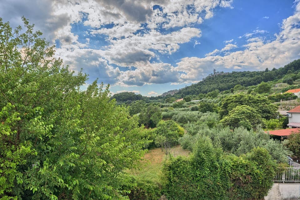 View from the apartment - Marjan Forest Park