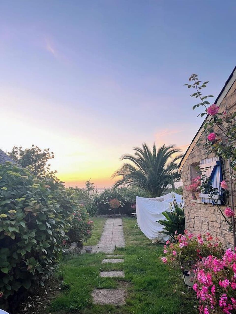 1fce0896-23e6-4035-9d31-95c70e641ddc