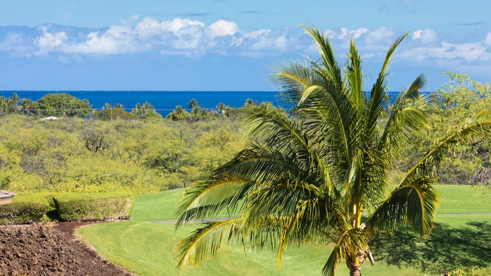 Ocean Views from throughout the main floor and lanai (zoomed photo)