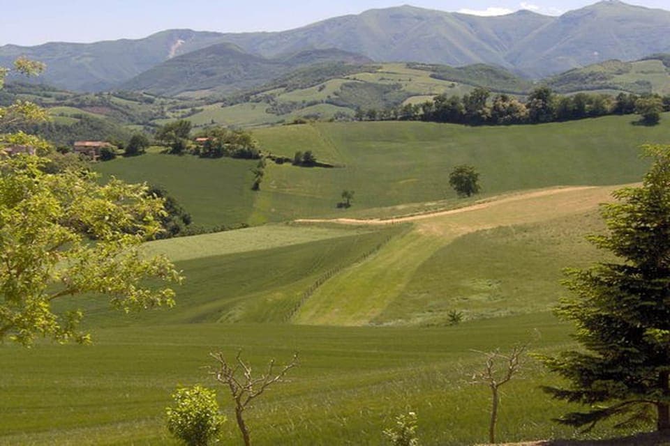 Region [summer] (>5 km)