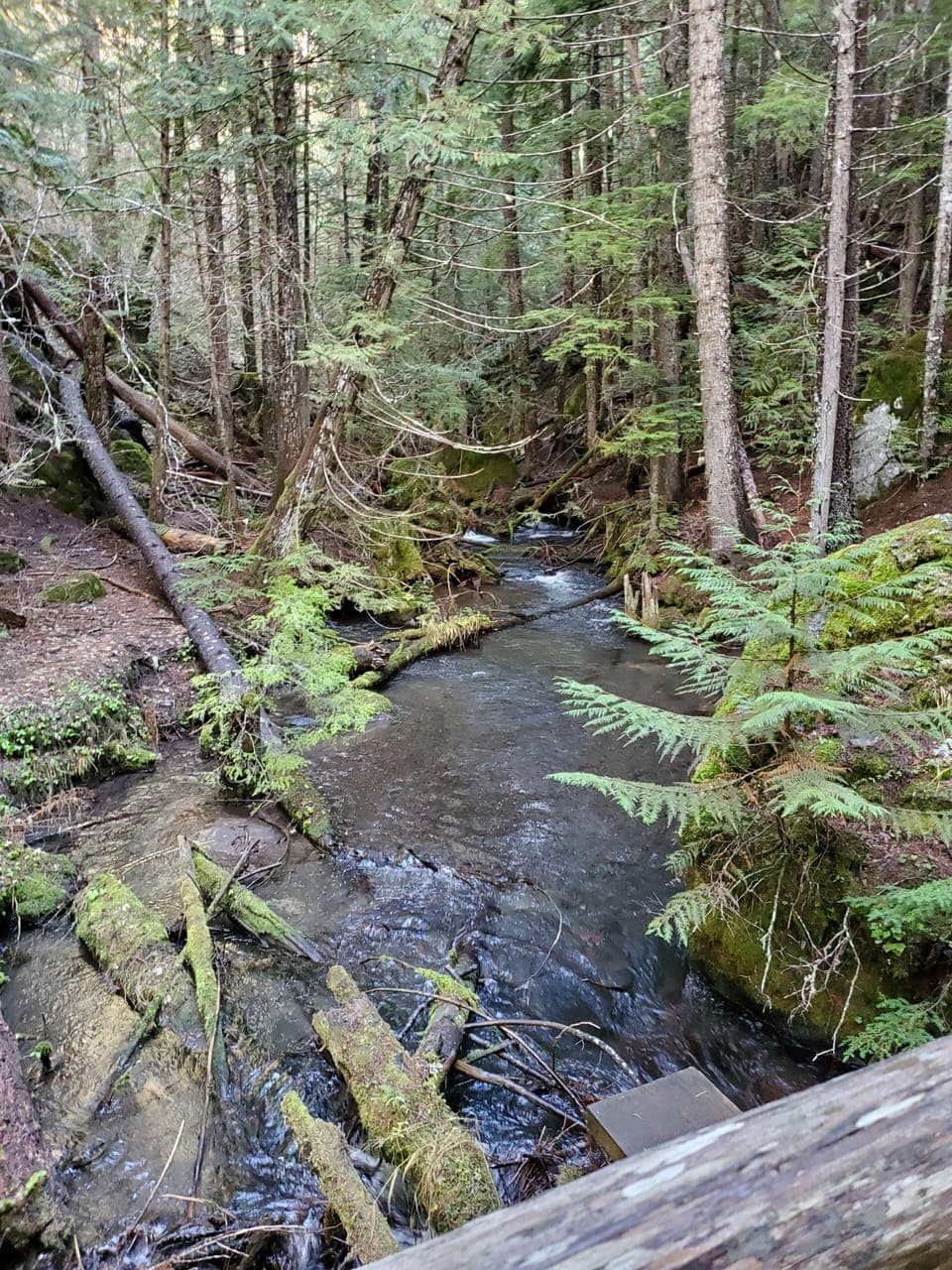 We love hiking, biking, fishing, picking berries and mushrooming.