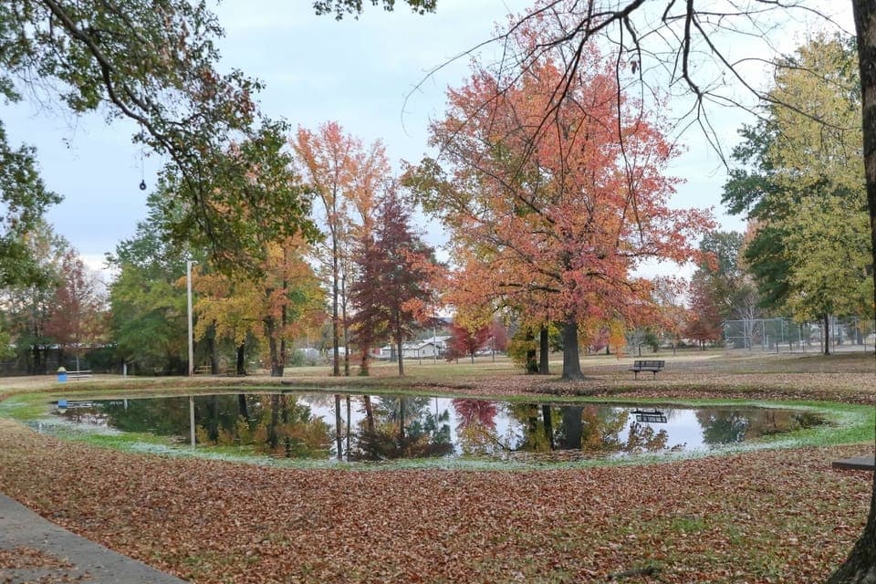 Stocked pond at Cline Park.