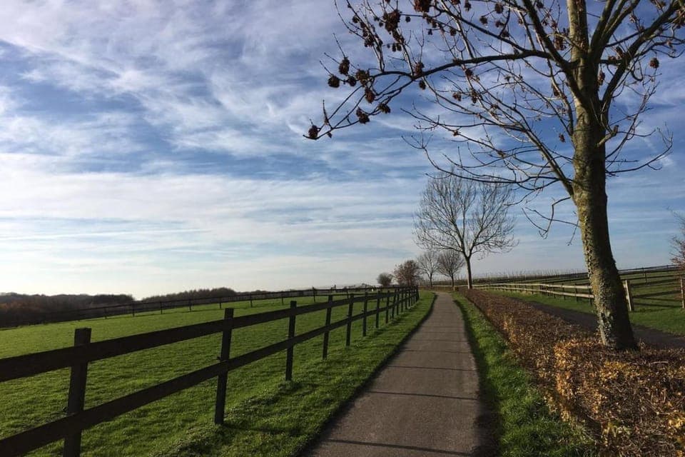 Region [summer] (>5 km)