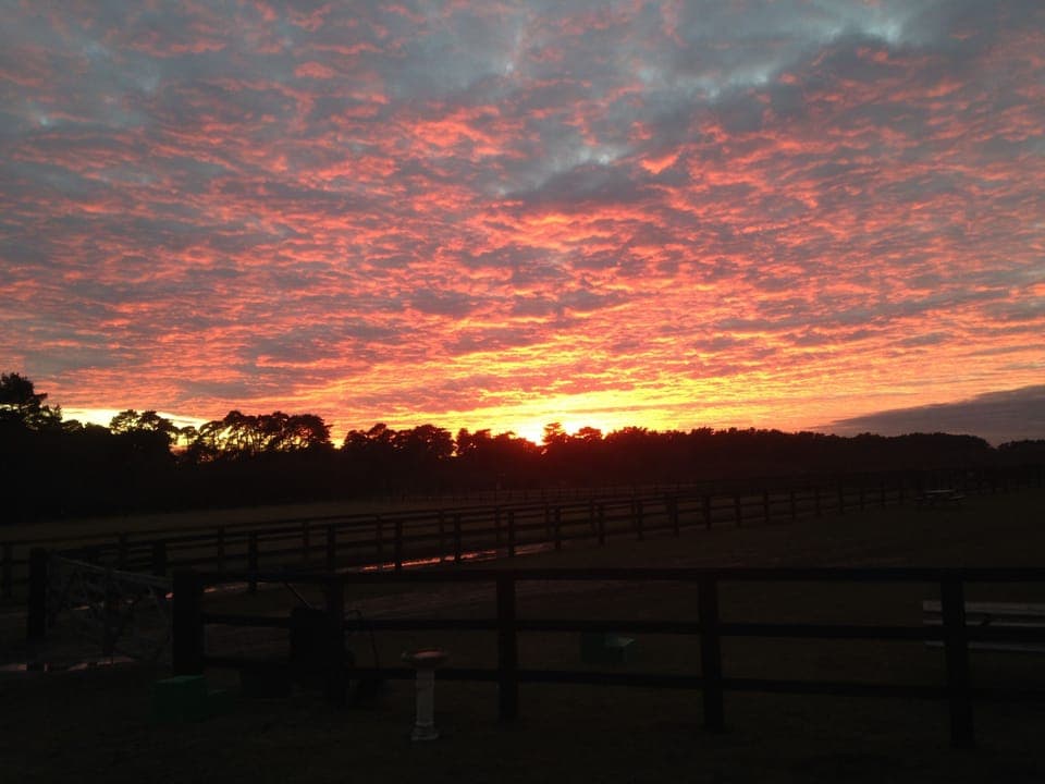 Wideham is famous for its sunsets.