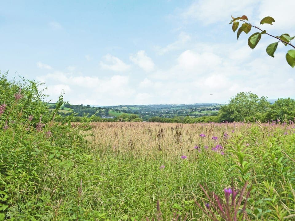 View | Lower Barn, Dolgran