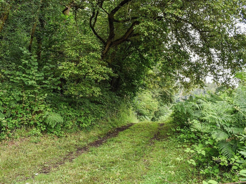 Surrounding area | The Cottage, Lydney