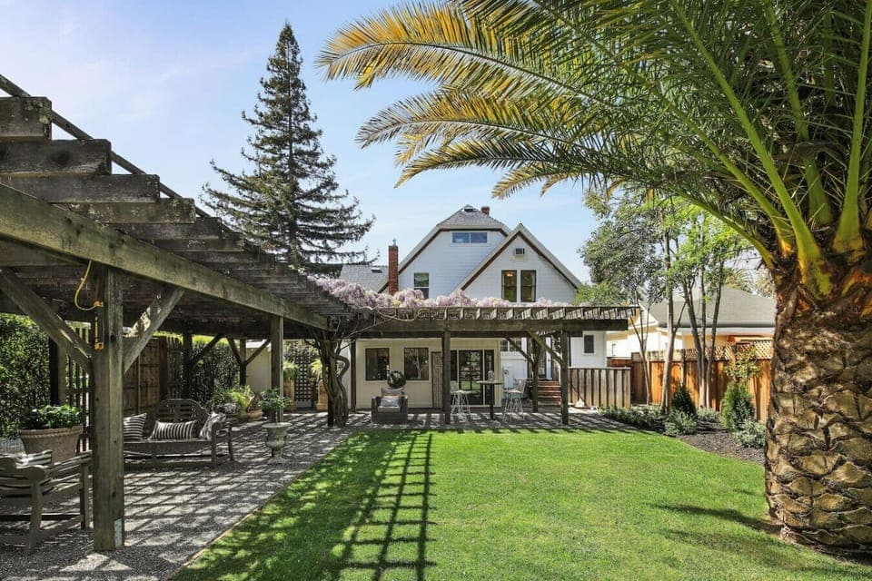 Back yard